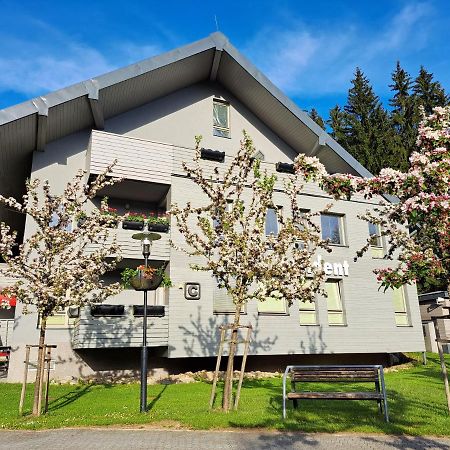 Resident Harrachov Family Apartment מראה חיצוני תמונה