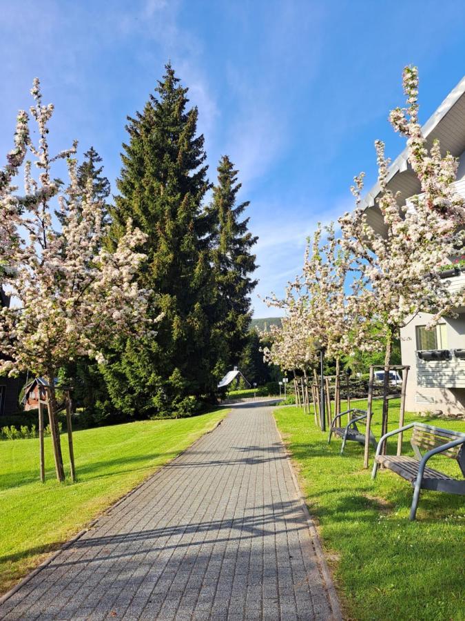 Resident Harrachov Family Apartment מראה חיצוני תמונה